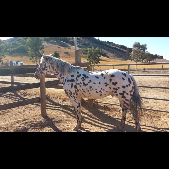 Meet your Posher, Marcy - Picture 6 of 6